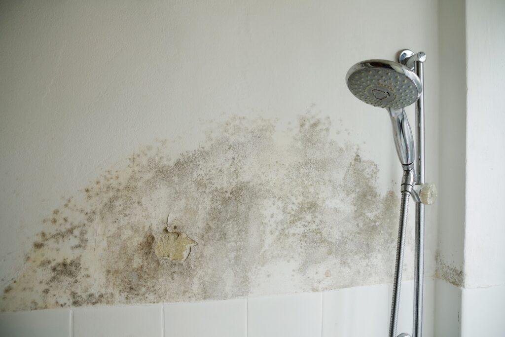 Massiver Schimmel hinter Duscharmatur | Duschrückwand