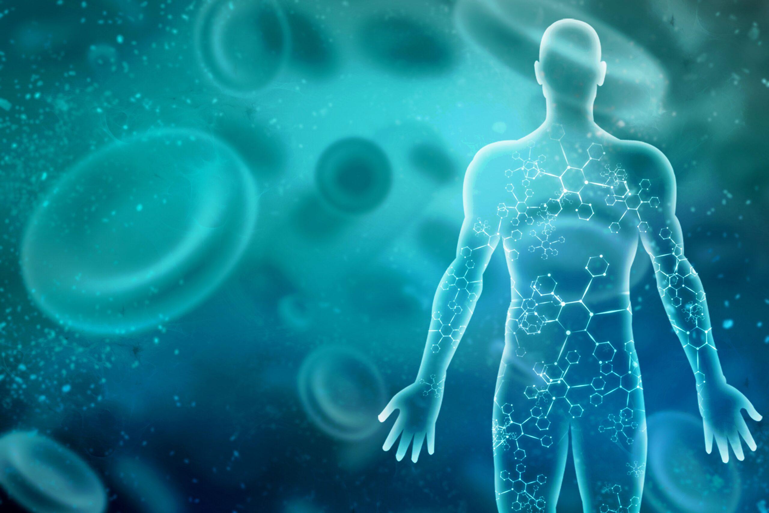 Visualisierung von Zellstrukturen im Körper – Krillöl unterstützt die Zellgesundheit
