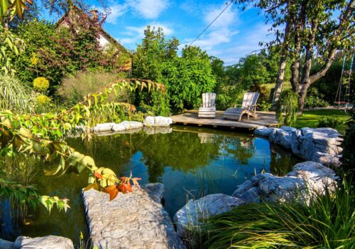 Wissenswertes über ökologische Gartenteiche